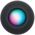 Apple HomePod Mini Space Gray