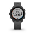 Garmin Forerunner 245 Slate Gray